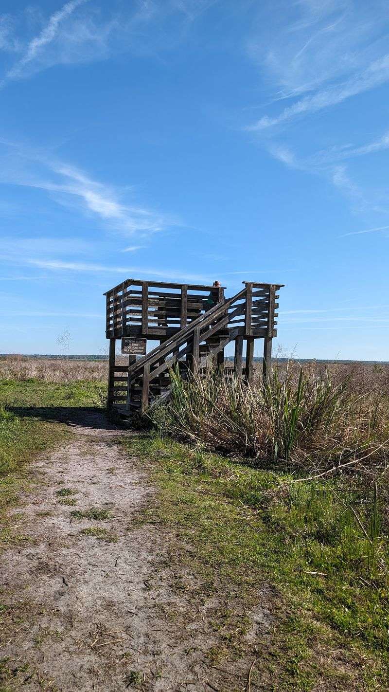 Wacahoota Trail - Paynes Prairie Preserve State Park
