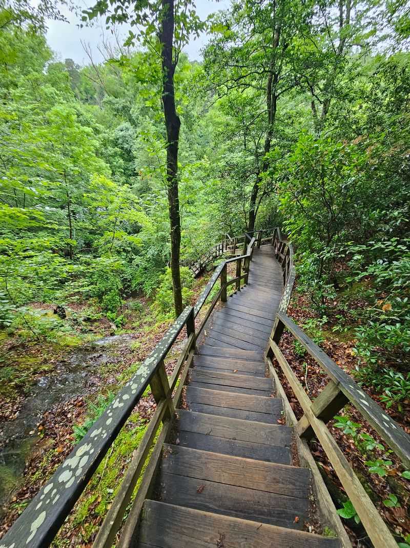 Raven Rock State Park - Lillington
