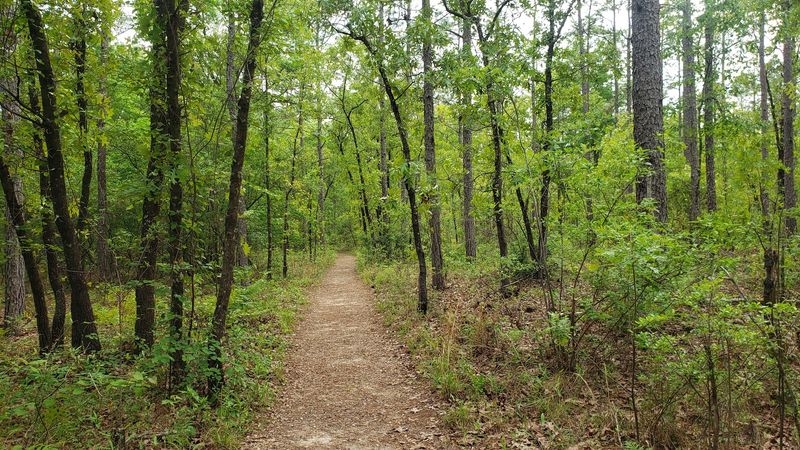 Leon Sinks Geological Area in Tallahassee, Leon County,