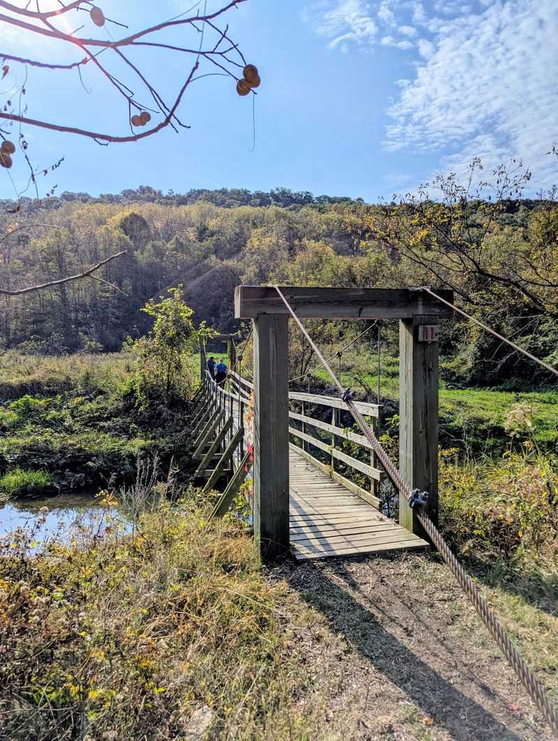 Swiss Valley Nature Preserve and Nature Center - Peosta