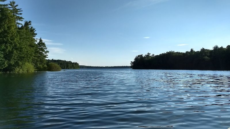 Black Oak Lake - Vilas County