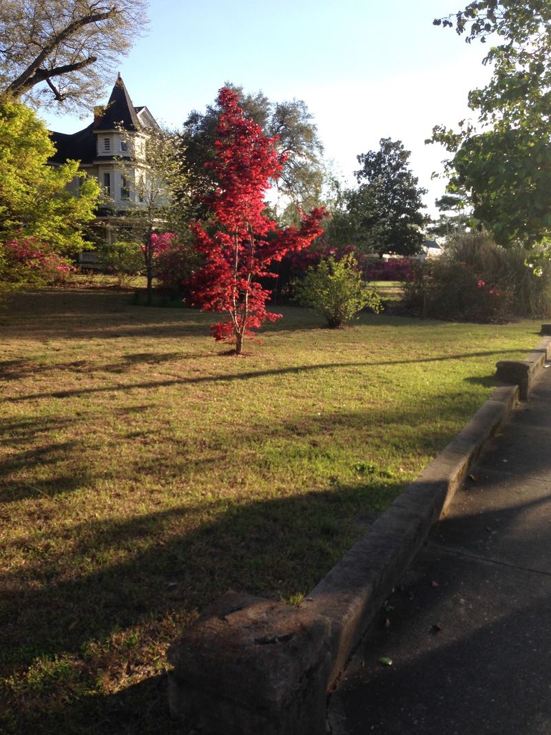 Eight City Parks Keep Recreation Close to Home