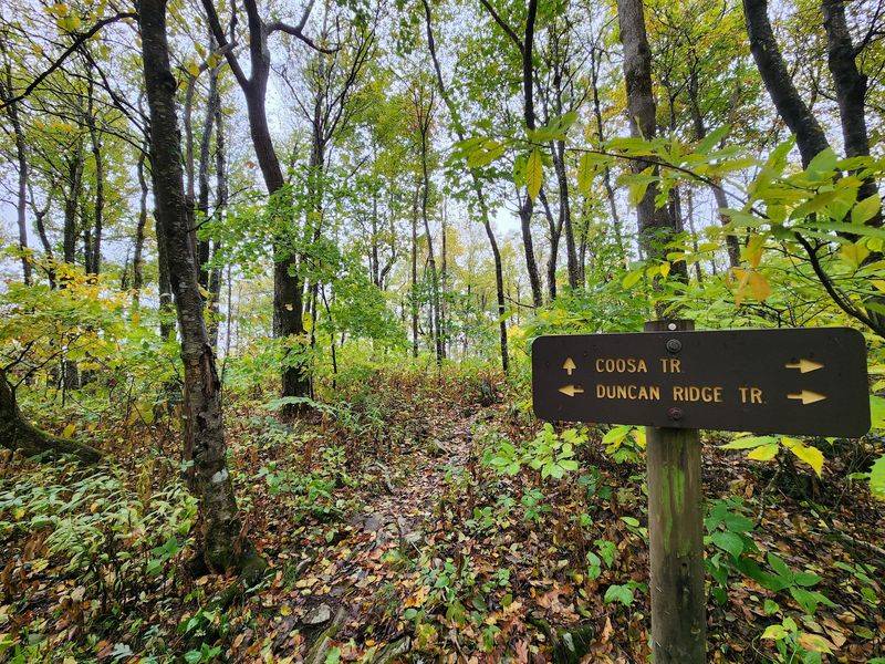 Trails That Turn A Walk Into A Mini Adventure