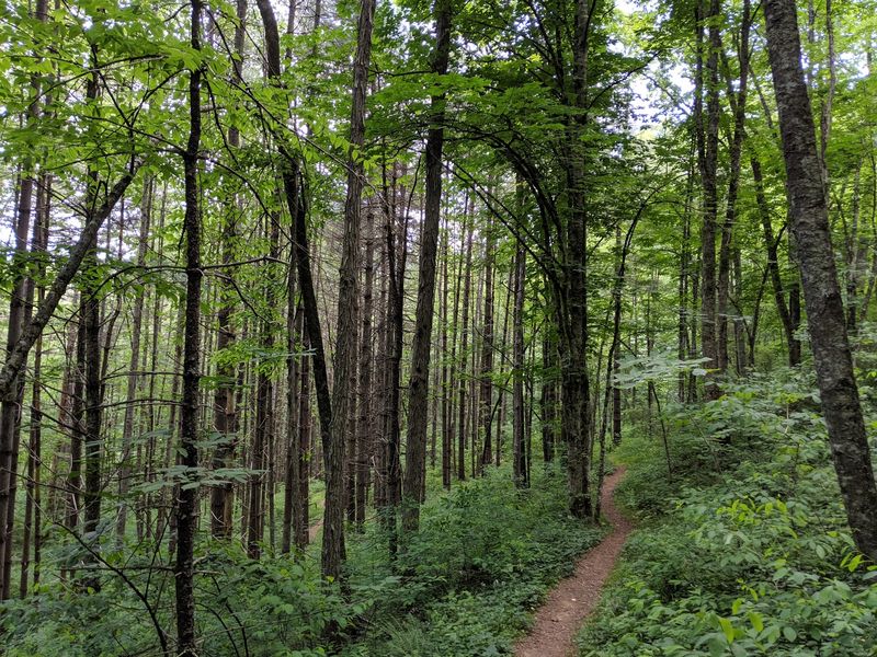 New River State Park - Laurel Springs