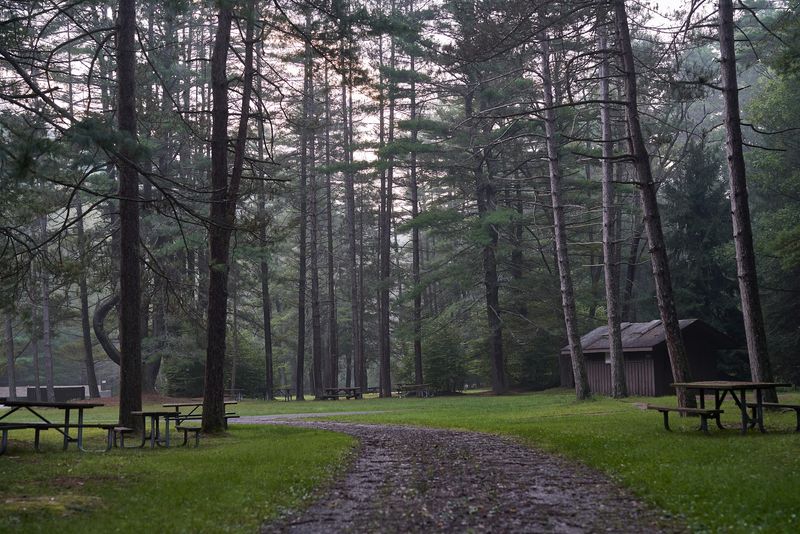 Clear Creek State Park, Sigel