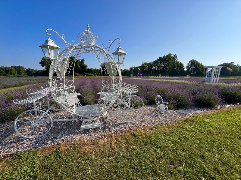 Lavender Lane Farm - Milan