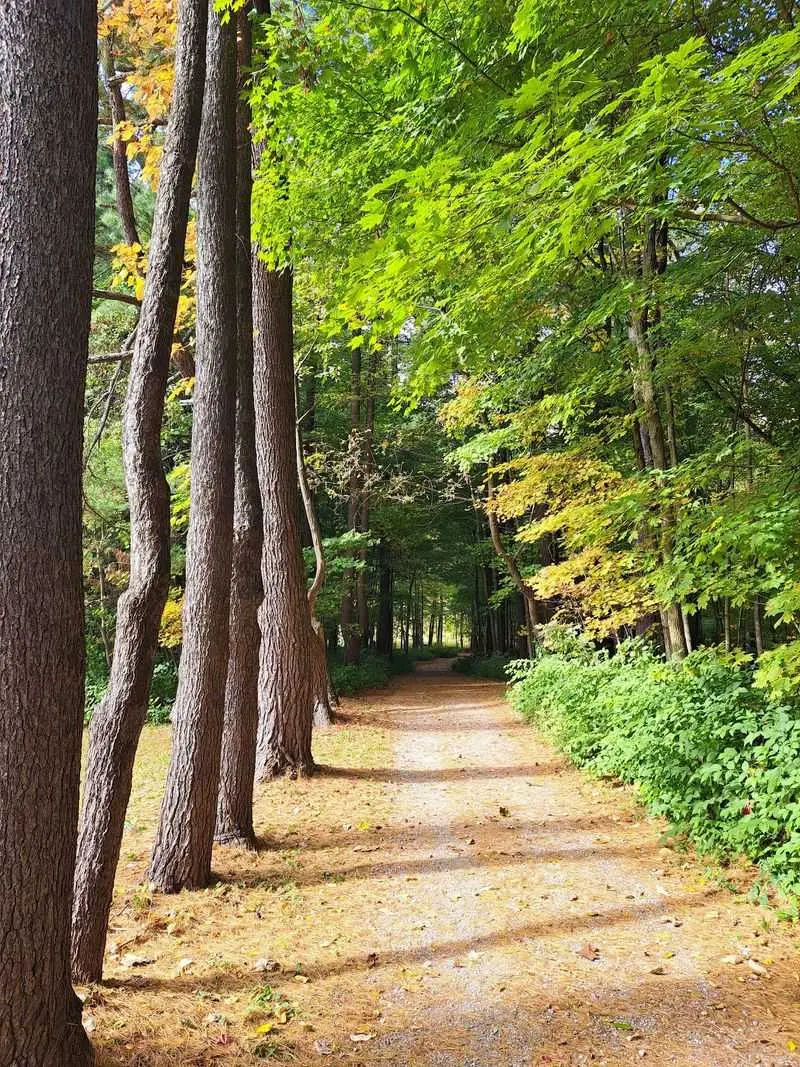 Ridge Air at Chestnut Ridge Metro Park