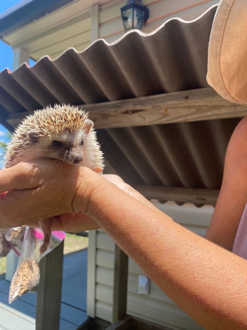 Make It a Hands-On Family Adventure