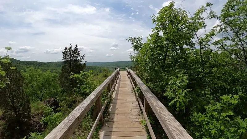 Buzzardroost Rock