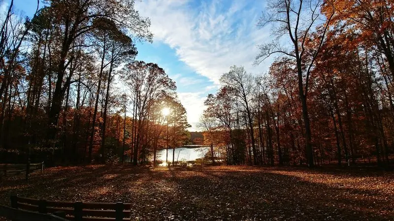 Pocahontas State Park
