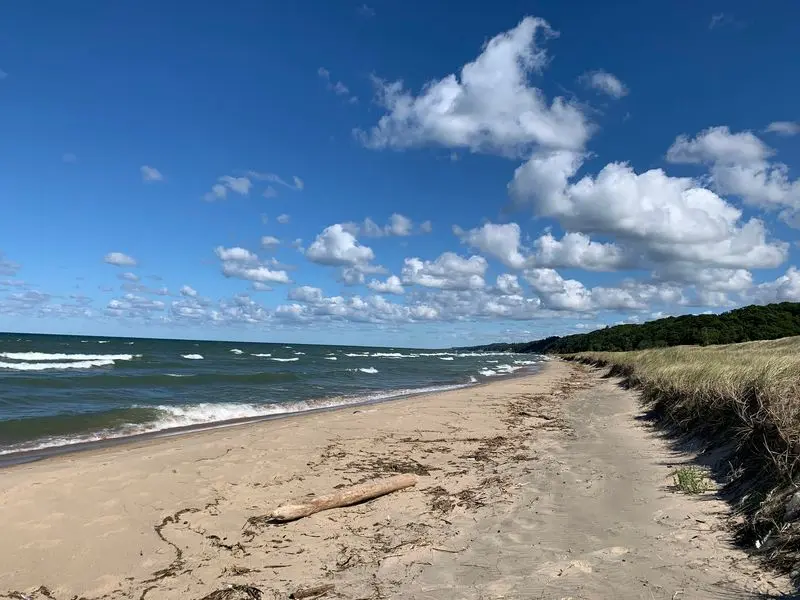 Saugatuck, Allegan County, Art, Dunes, And River Views