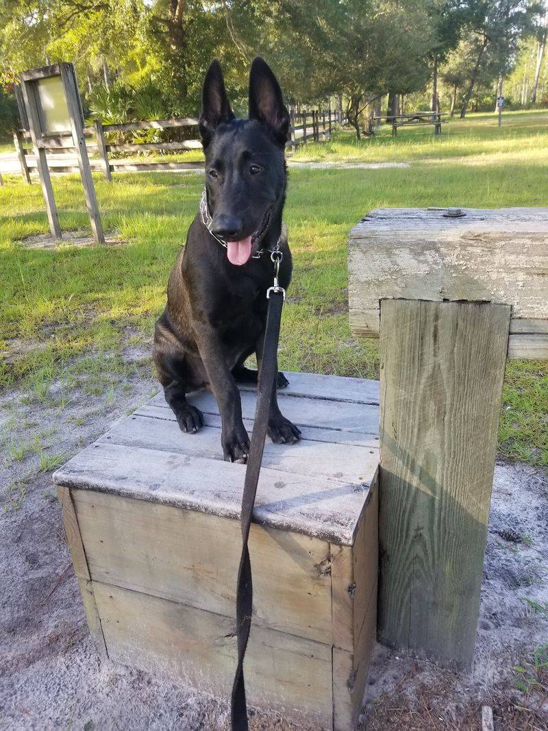 Jennings Sandridge Trails in Middleburg, Clay County,