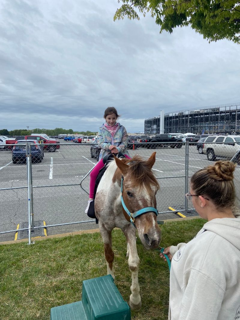 Take A Pony Ride