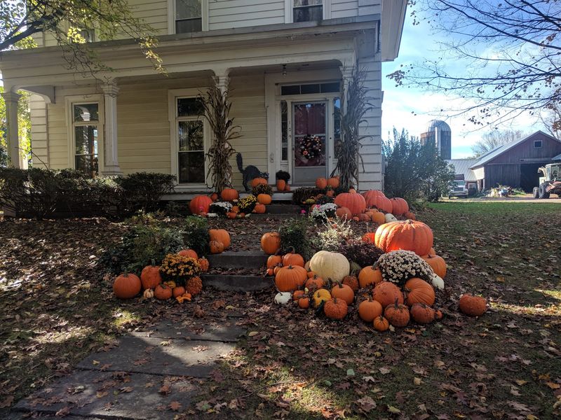 Watch Fall Cooking Around An Open Hearth
