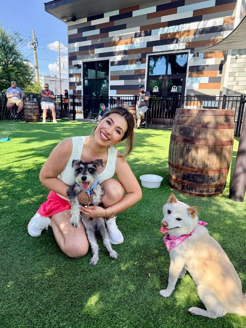 Give Your Pup a Chance to Make New Friends