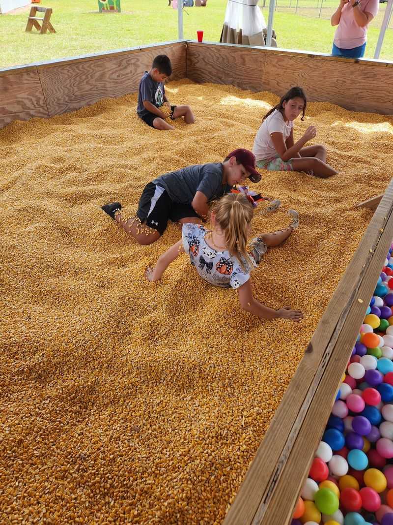 Jump Into the Giant Corn Bin