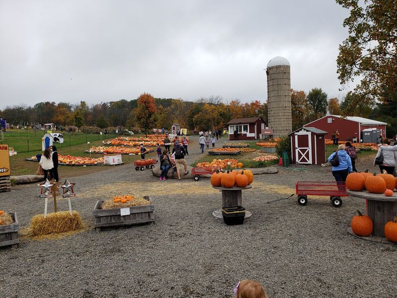 Hellerick's Family Farm - Doylestown