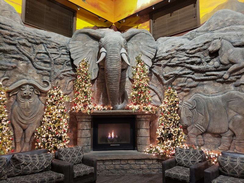 Safari Style That Makes the Stay Feel Far Away