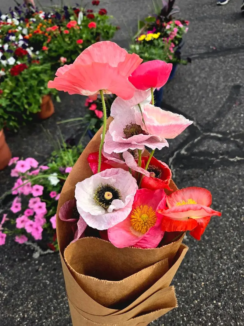 Flower Buckets Bright Enough to Change Your Whole Kitchen