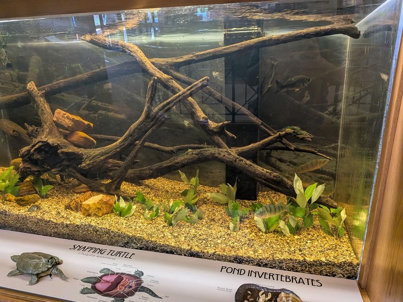 The Reptiles And Fish Are Part Of The Experience
