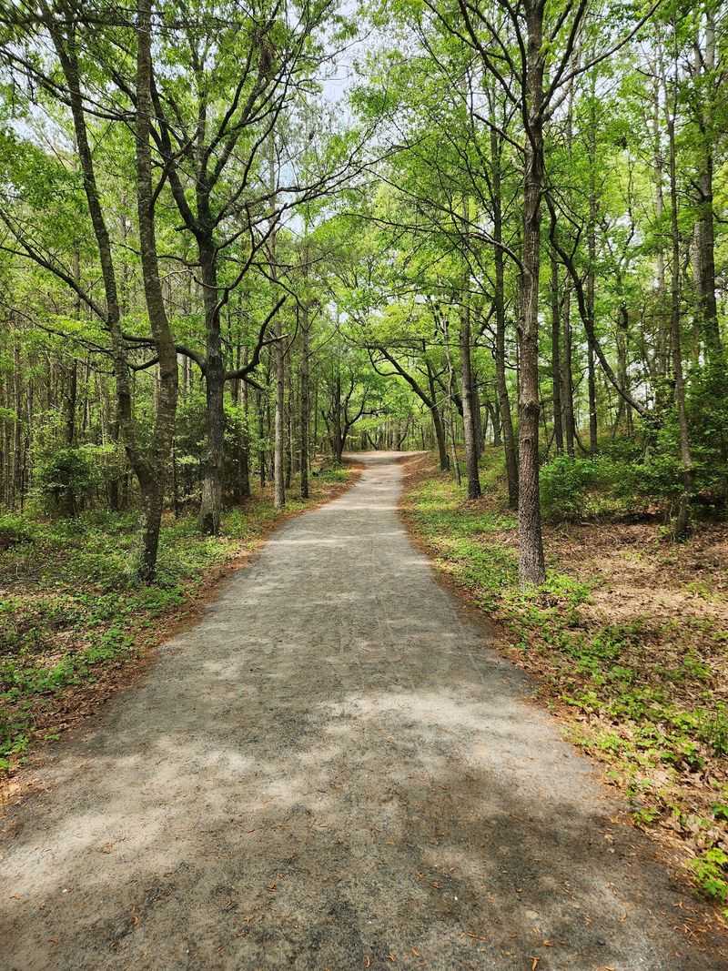 Follow the Woodland Trail to Pony Overlook