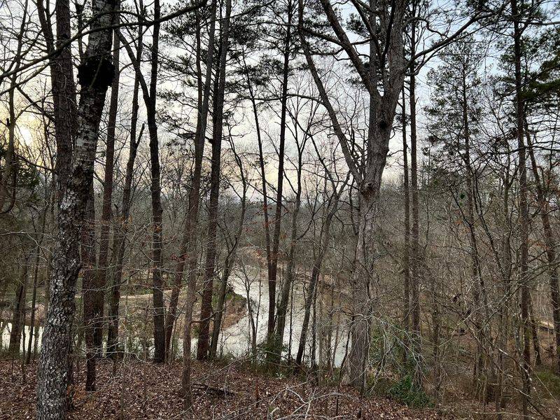 Follow the Trails Beyond the Boardwalk