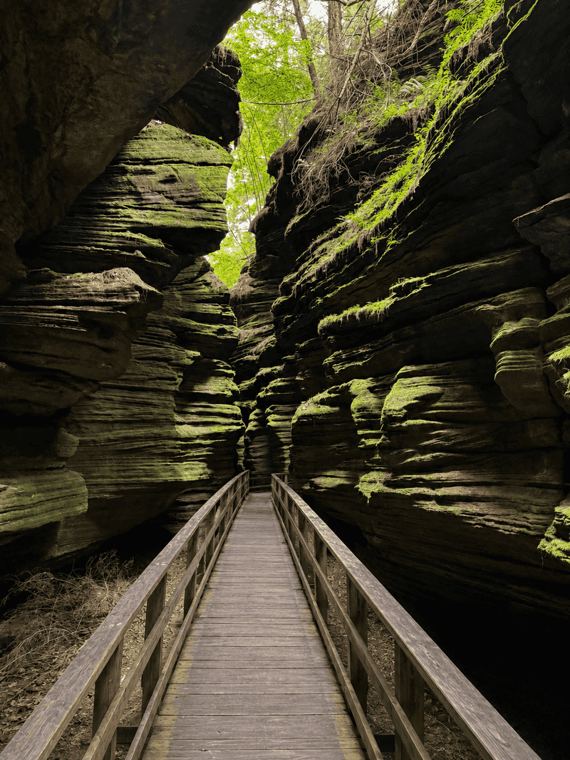 Walk Into the Narrow Passage of Witches Gulch