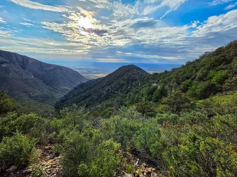 Guadalupe Peak Trail, Salt Flat, Culberson County