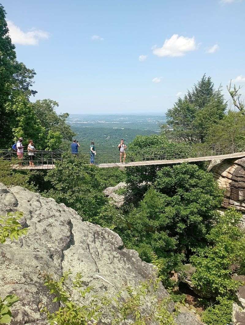 The Swing-A-Long Bridge Adds a Playful Thrill