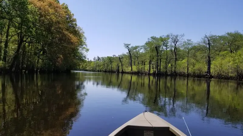 Black River - Three Sisters Swamp