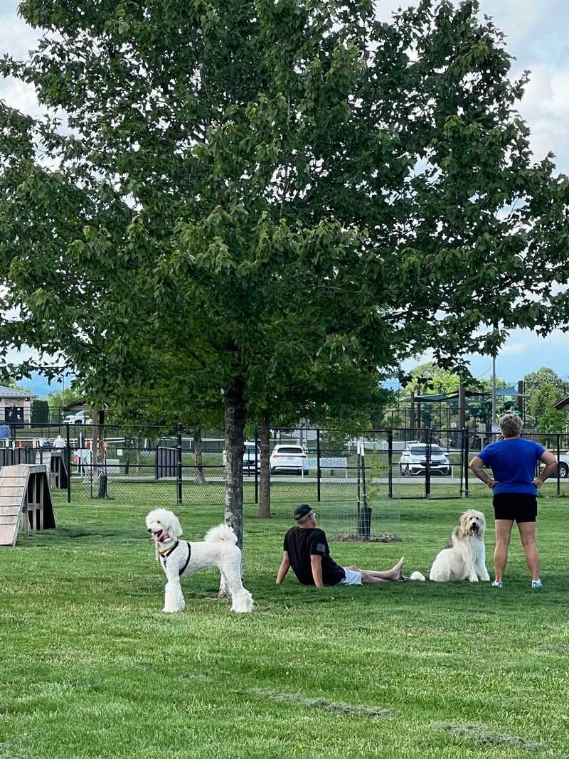 Mills River Dog Park in Mills River, Henderson County,