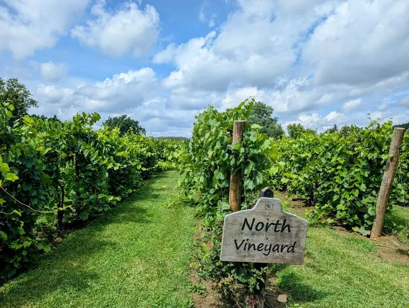 The Winery Turns A Simple Stay Into A Wine Getaway