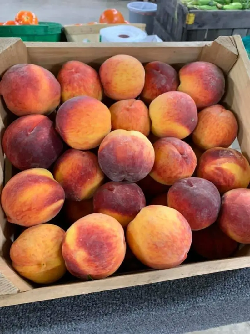 Hartford Orchards - Hartford