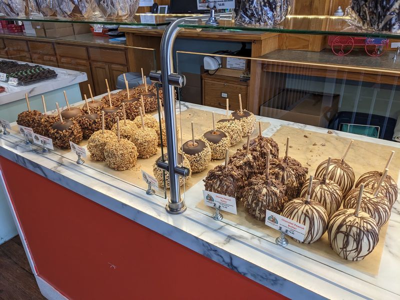 Alpine Chocolat Haus in Gaylord, Otsego County,