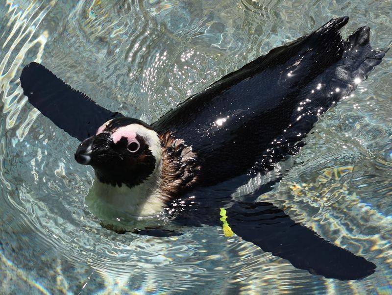 NEW Zoo and Adventure Park in Suamico, Brown County,