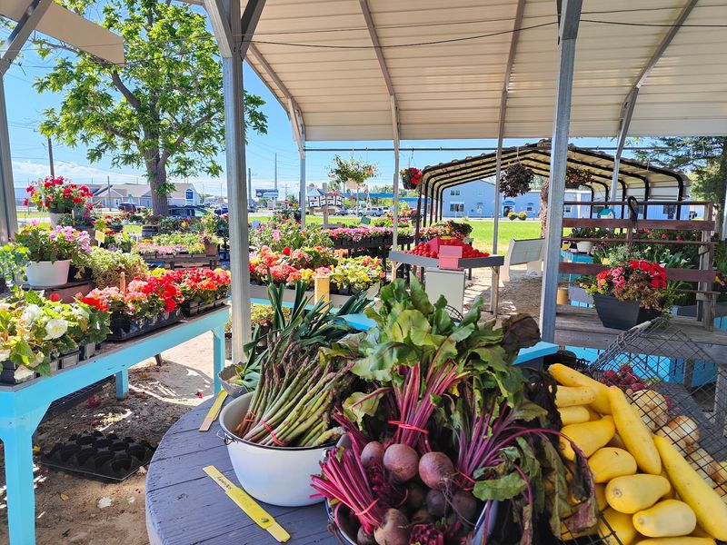 Magee Farms - Lewes