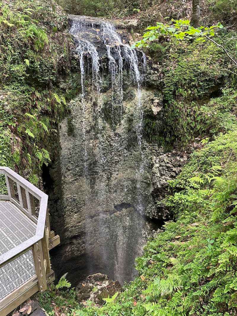 Falling Waters Sink Trail - Chipley