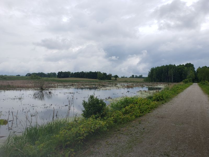 Wild Goose State Trail - Horicon Marsh Area