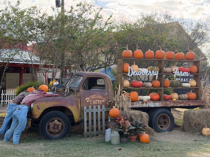 Dewberry Farm, Brookshire