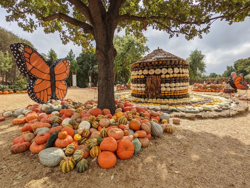 Autumn at the Arboretum - Dallas