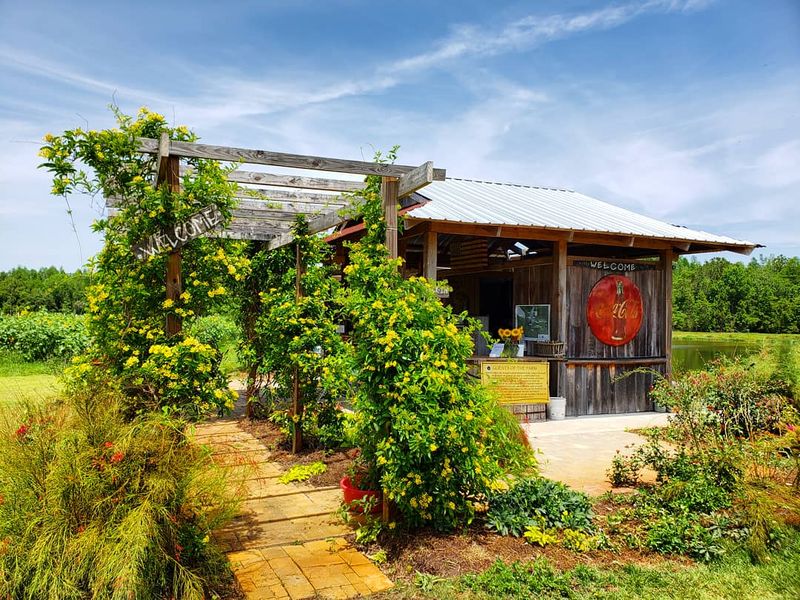 Enjoy Clermont's Peaceful Countryside