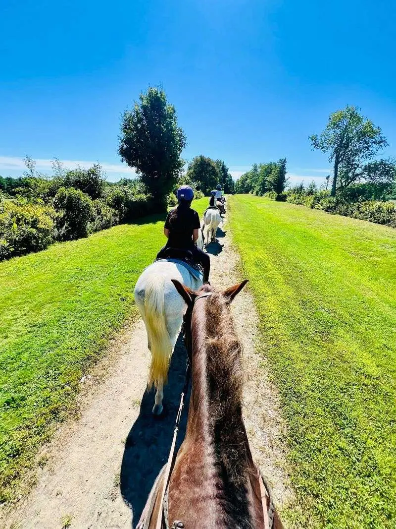 Enjoy the Trail, Not Just the Saddle
