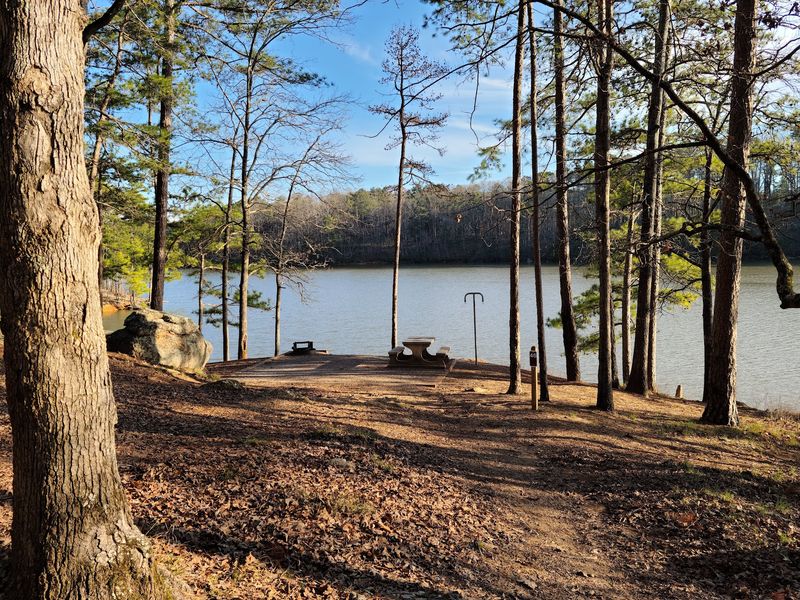 Spend a Night Beneath the Trees