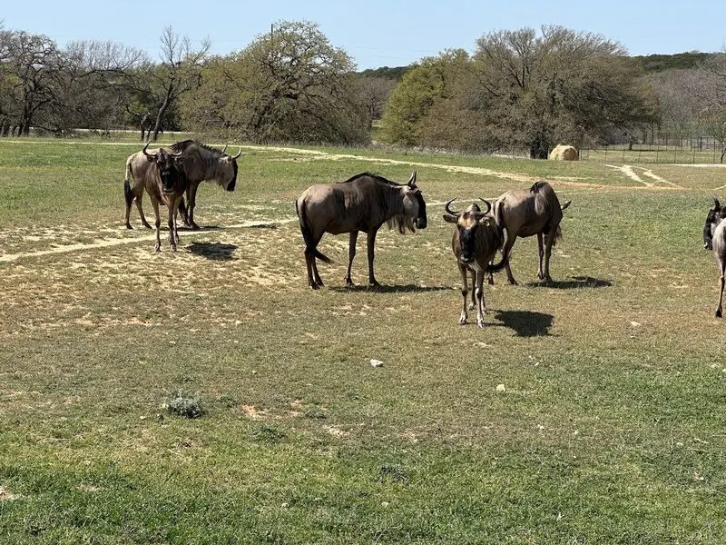Explore Animal Discoveries and Nature Trails