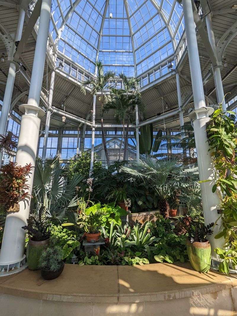 Look Up Inside the Conservatory