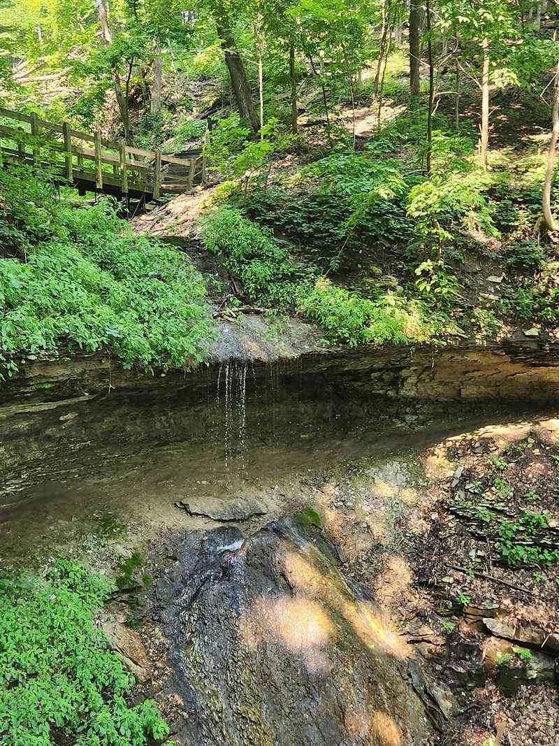 Bridal Veil Falls Trail - McGregor