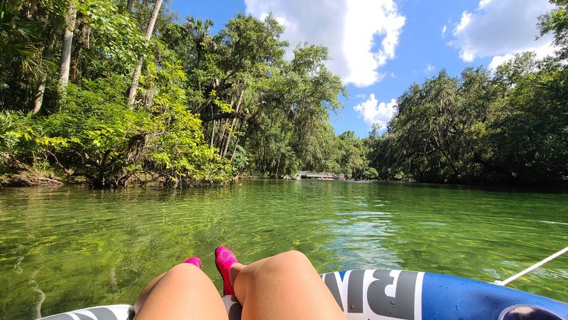 Snorkeling Feels Like Floating Through A Fish Tank