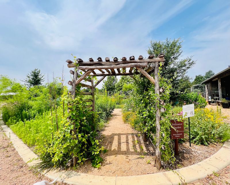 Boerne - A Peaceful Hill Country Stroll