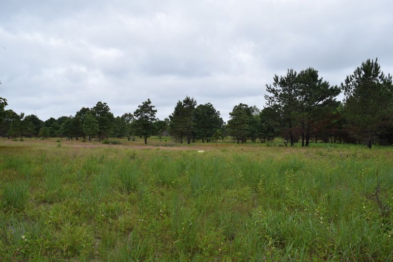 Middleford North Preserve in Seaford, Sussex County,