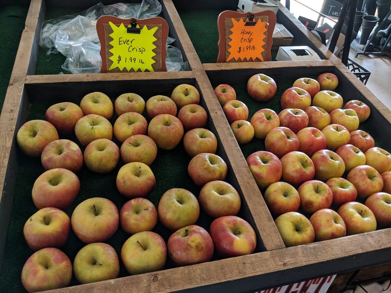 Mackintosh Fruit Farm - Berryville